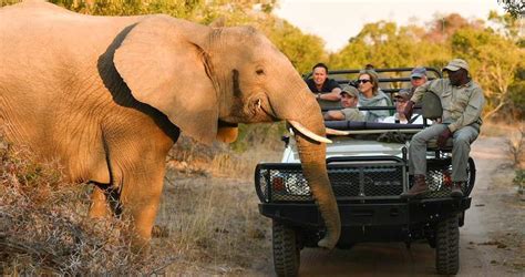 south africa safari package prices